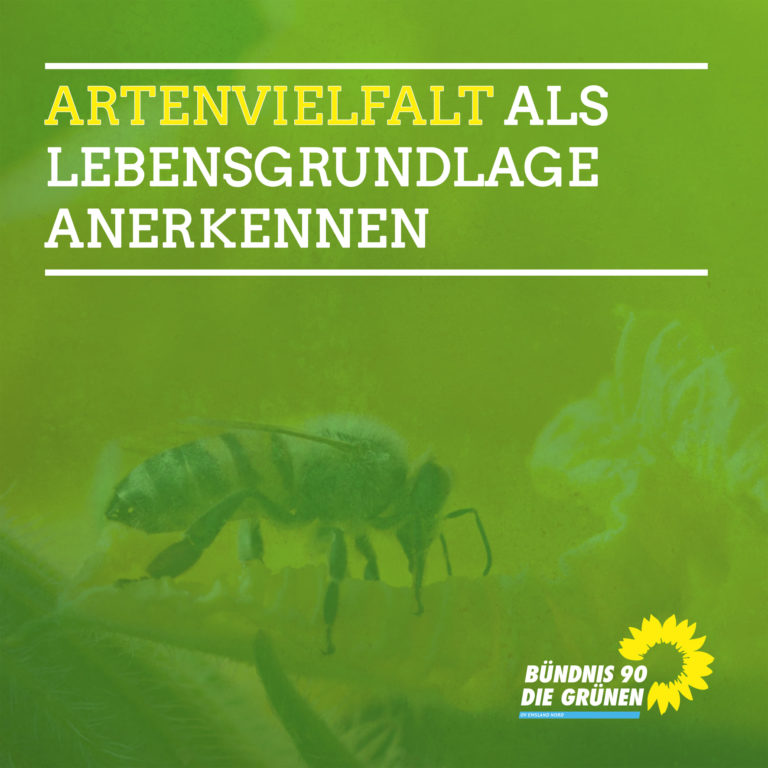 Artenvielfalt als Lebensgrundlage anerkennen