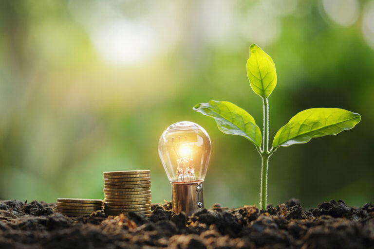 Wirtschaft, Energie und Klimaschutz