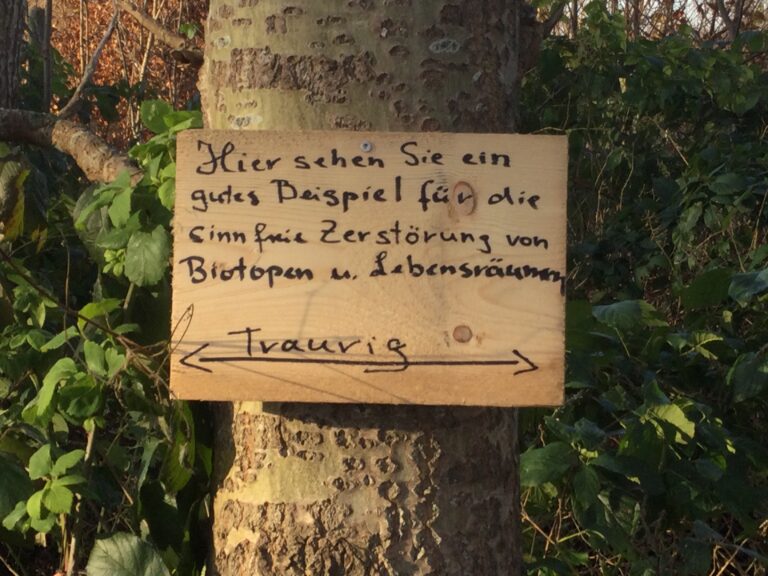 Grüne beklagen „Naturzerstörung“
