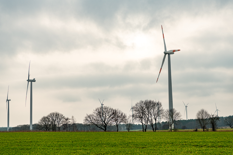 Ortsverband der Grünen Emsland Nord fordert Nutzung der Einnahmen aus Windpark für PV-Anlagen auf städtischen Einrichtungen