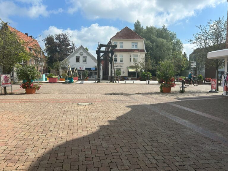 Ortsverband der Grünen Emsland Nord fordert mehr Bäume im Stadtbereich zur Anpassung an den Klimawandel