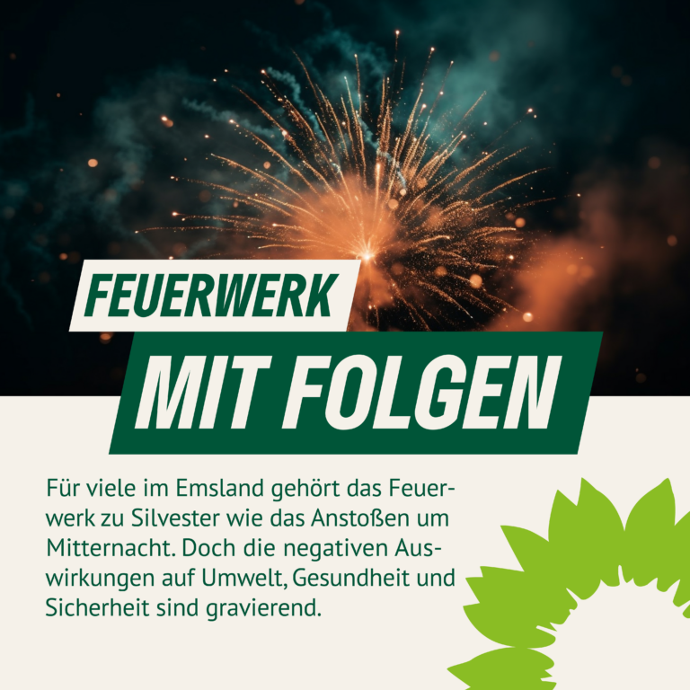 FEUERWERK MIT FOLGEN